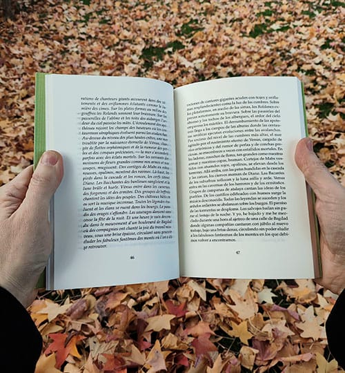 Corrección de poesía